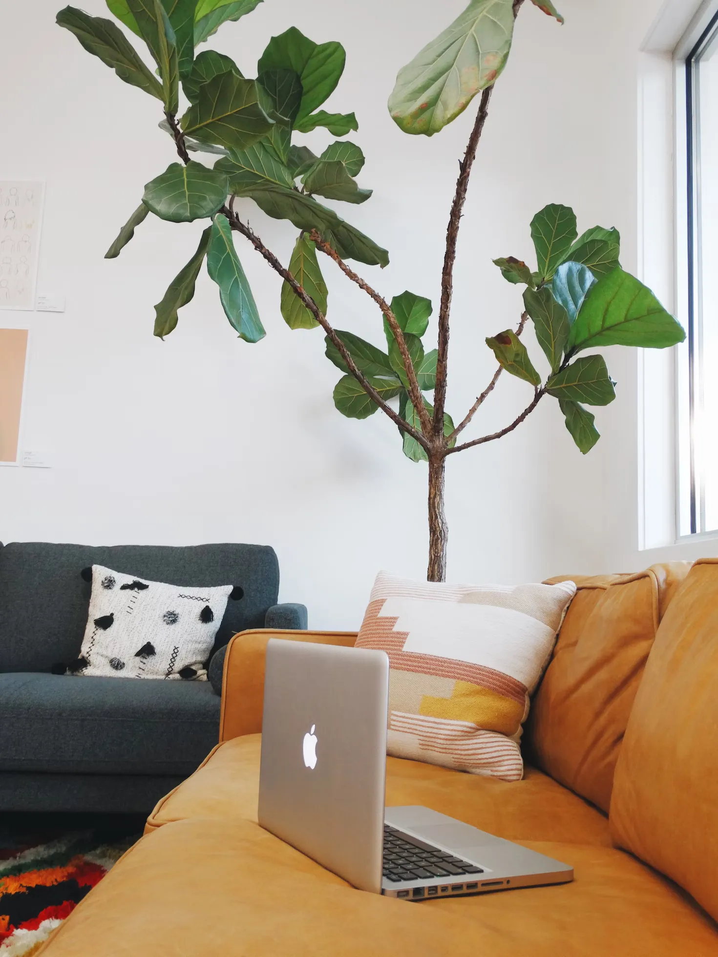 Laptop auf einer Couch
